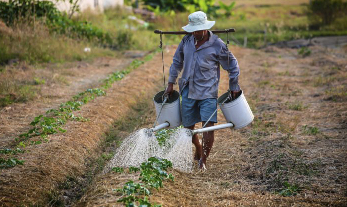 Câmara aprova auxílio emergencial para agricultor familiar na pandemia