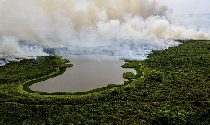 Governo de Mato Grosso vai apurar causas dos incêndios no Pantanal