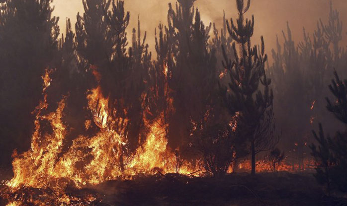 Incêndios provocam maior desastre florestal da história do Chile