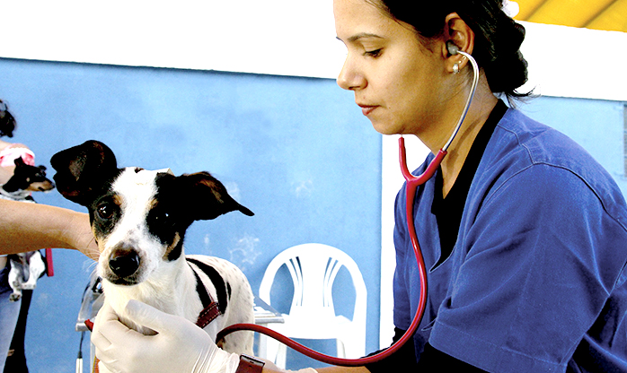 Prefeitura de Jandira realiza campanha gratuita de castração de cães e gatos