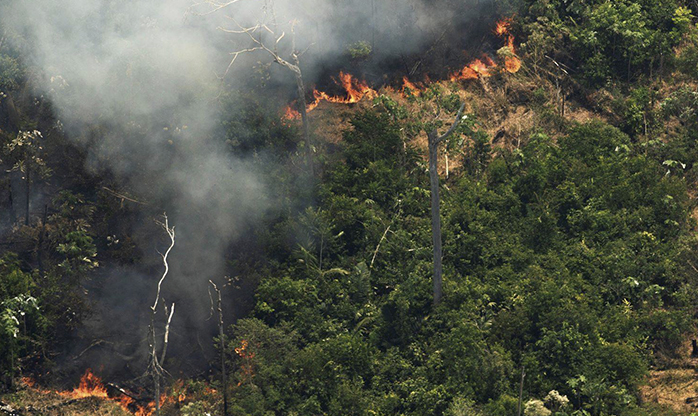 O que pode acelerar ou retardar a recuperação da floresta consumida pelo fogo na Amazônia