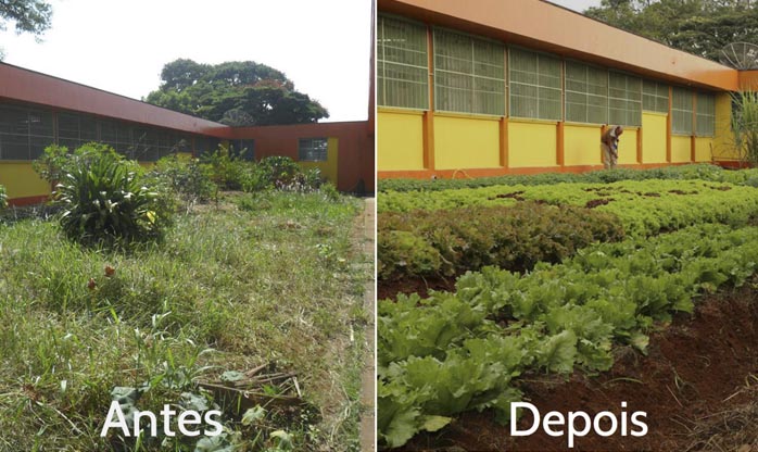 Escola pública usa horta para revitalizar espaço vazio