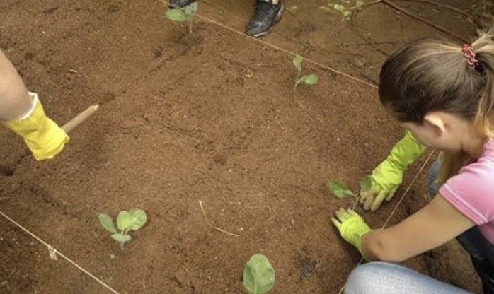 Osasco abre inscrições  para oficina  de Jardinagem  e Horticultura