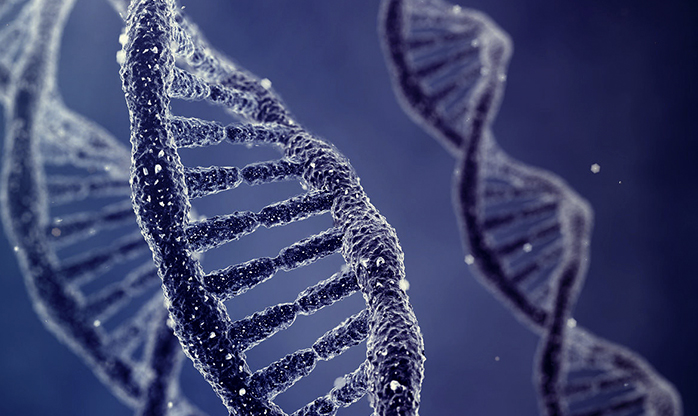 Cientistas removem doença genética de embrião