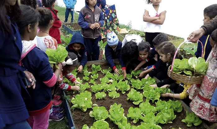Escola municipal de Carapicuíba implanta horta sustentável