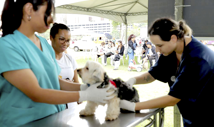 Prefeitura de Barueri realiza mais uma edição do Dia Animal no Parque Dom José
