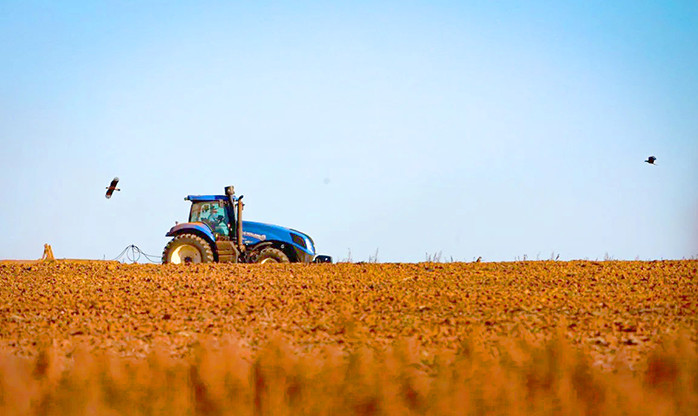 Governo quer retomar política do preço mínimo para produtos agrícolas