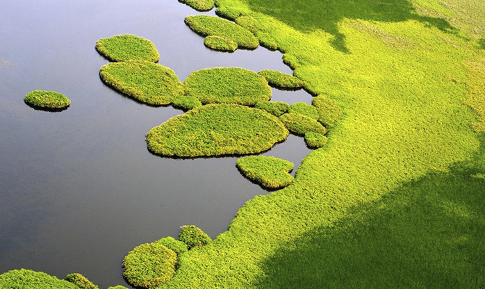 Mudanças climáticas: por que os pântanos africanos podem estar aumentando os níveis de metano na atmosfera