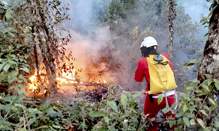 Governo de São Paulo amplia ações de enfrentamento aos incêndios em parceria com iniciativa privada