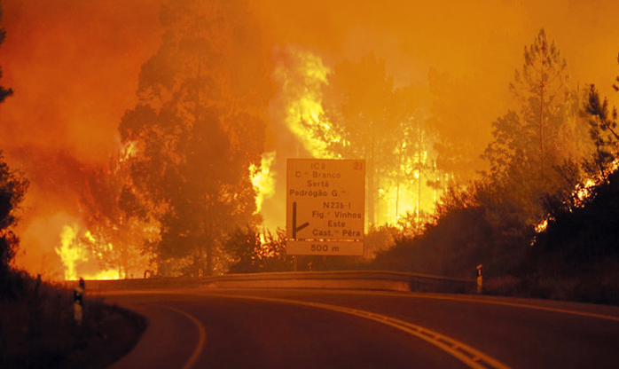 Portugal diz que incêndio em Pedrogão Grande está quase controlado