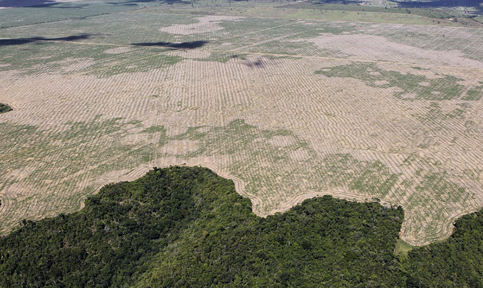 Na ONU, Macron critica desmatamento na Amazônia e culpa a soja transgênica