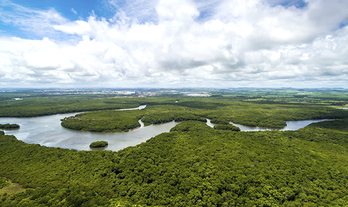 Cientistas descobrem indícios  de que Amazônia tinha agricultura