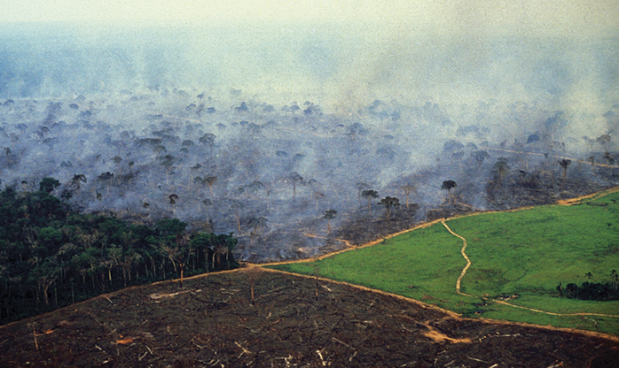  Desmatamento na Amazônia seria o dobro do registrado pelo Inpe, aponta estudo de universidade americana