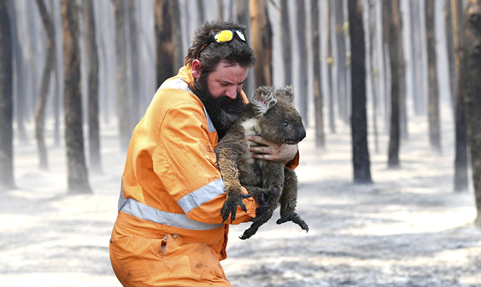 Incêndio na Austrália destruiu um terço da Ilha Kangaroo, mostra Nasa