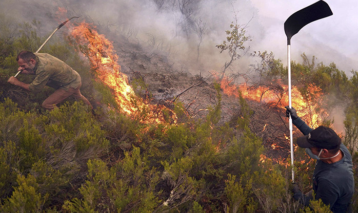 Espanha ainda tem 14 incêndios graves e centenas de desalojados