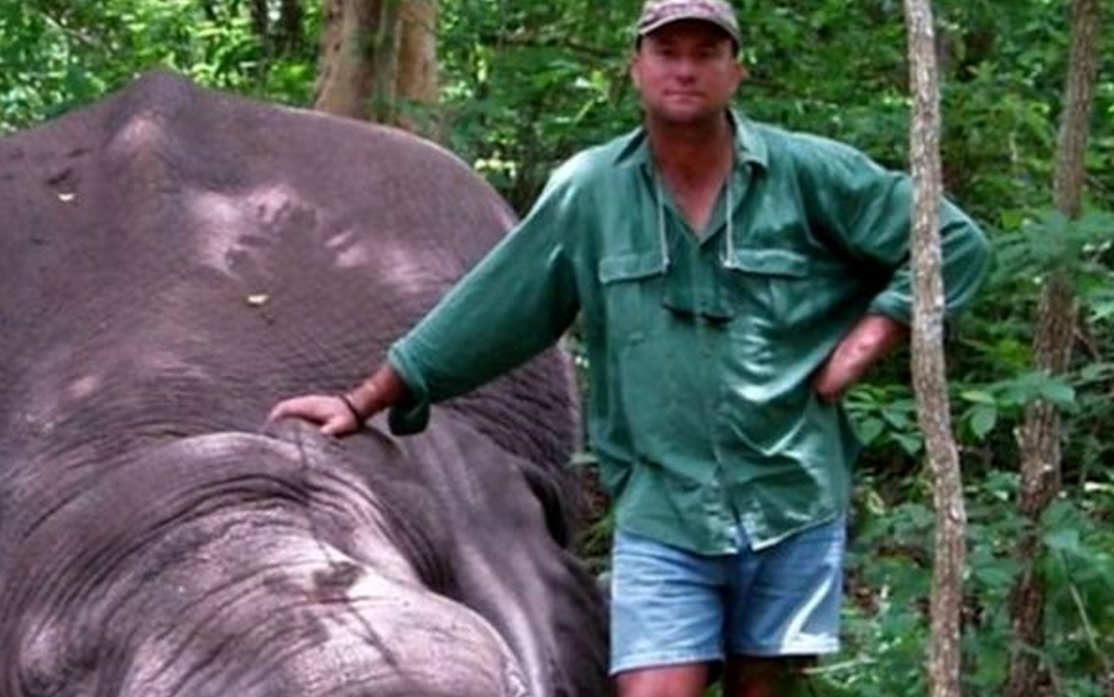 Elefante baleado mata caçador ao esmagá-lo no Zimbábue
