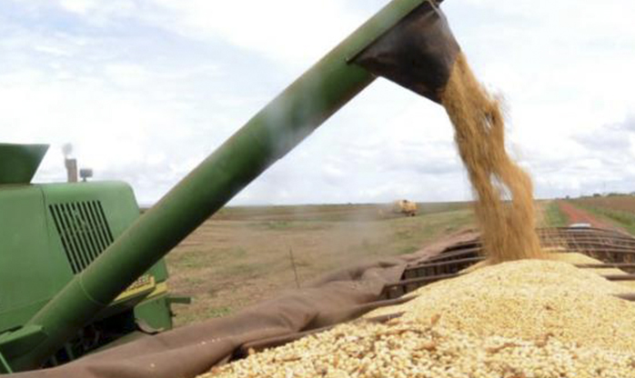 Mesmo com redução de 3,4%, safra de grãos é segundo recorde no país