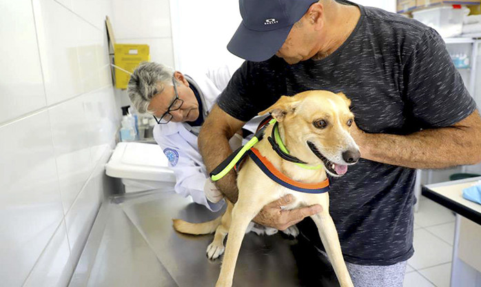 CCPL Jaraguá Mirim terá posto de vacinação contra raiva para cães e gatos