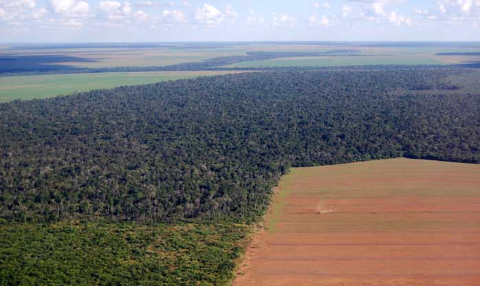 Amazônia perde o equivalente a 128 campos de futebol por hora