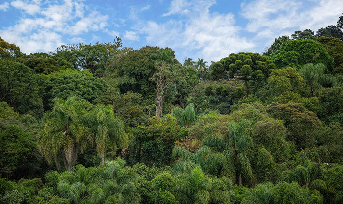 Barueri investe no verde na sustentabilidade ambiental