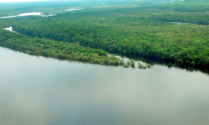 EUA estão empenhados em arrecadar recursos “vultosos” para Amazônia