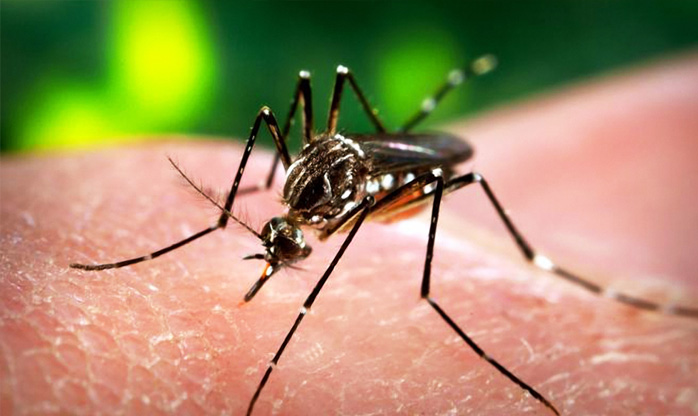 Confirmada a terceira morte ligada ao vírus Zika em Natal (RS)